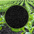 Organic Fertilizer Black Shiny Crystal 85%Min Water Soluble Potassium Humate From Leonardite